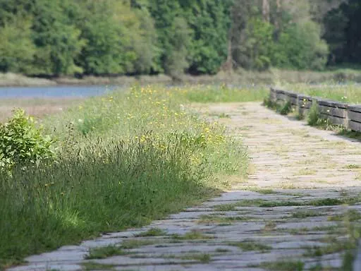 Apartament Solaina Parking Gratuito Viveiro